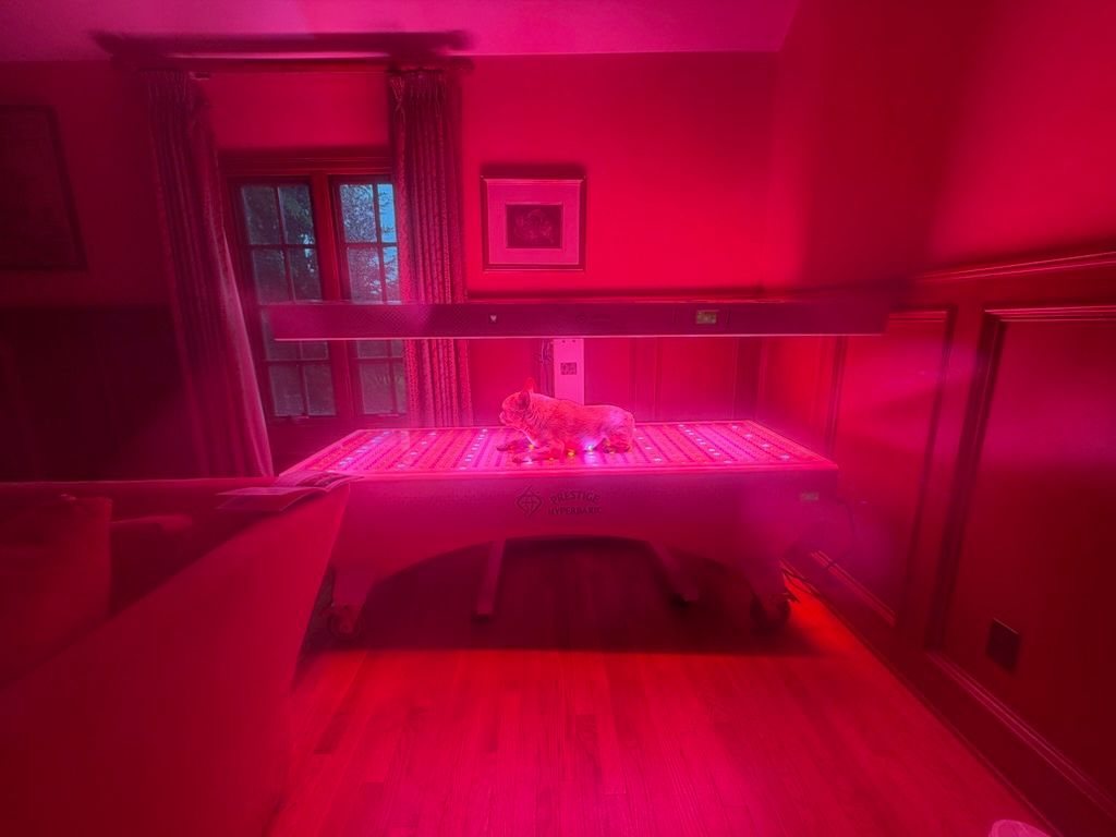 Prestige Pro Modular 9-Wavelength Red Light Therapy Bed